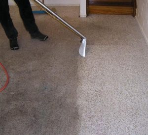 greentouch-carpet-steam